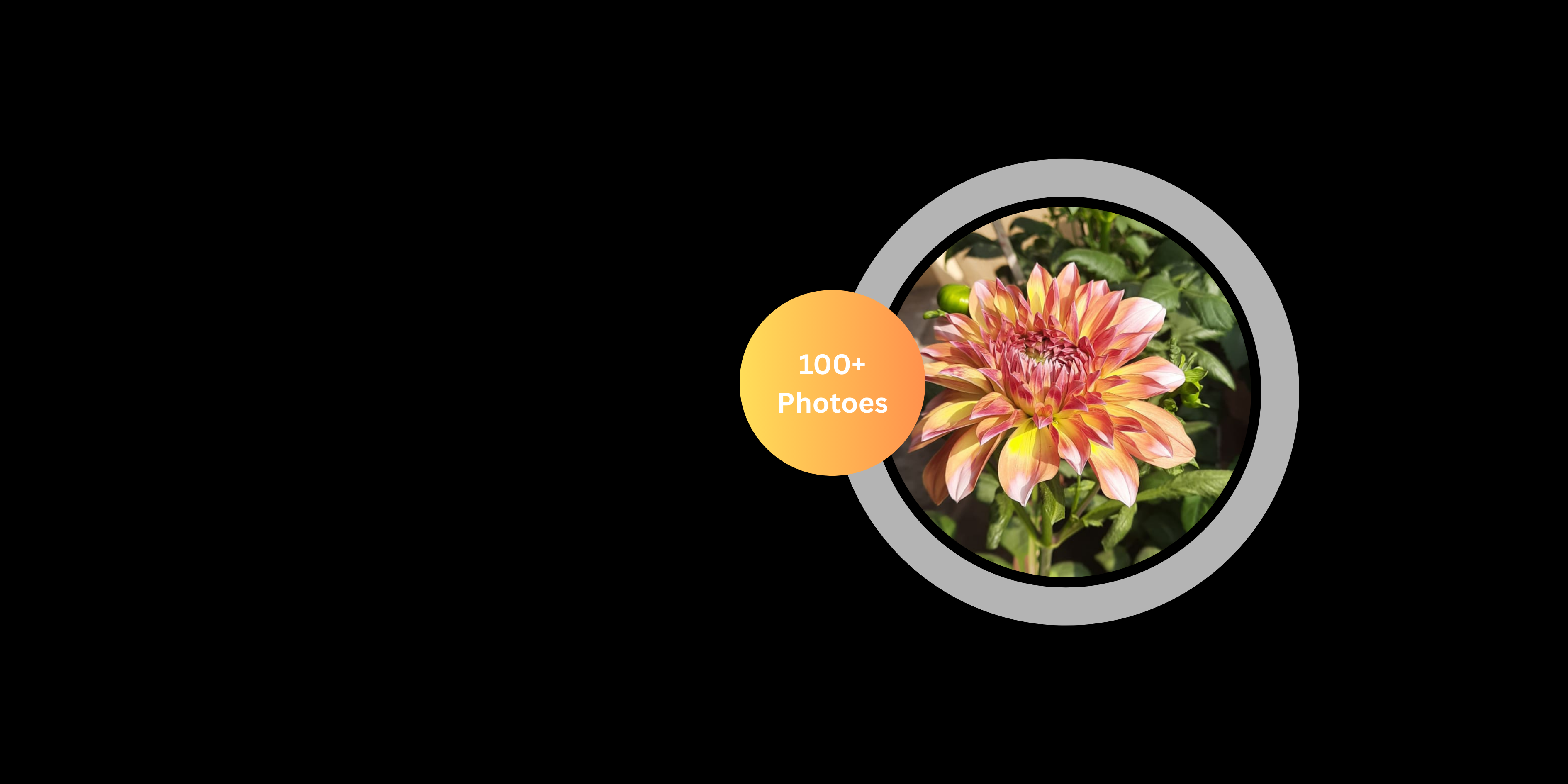 Every-photograph-tells-a-story-and-every-story-deserves-to-be-remembered-2